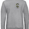 SSV Sweatshirt Kreisbanner Brust – Bild 7