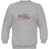 Pullover - Bitte Bügel schließen - Front - PACE – Bild 2